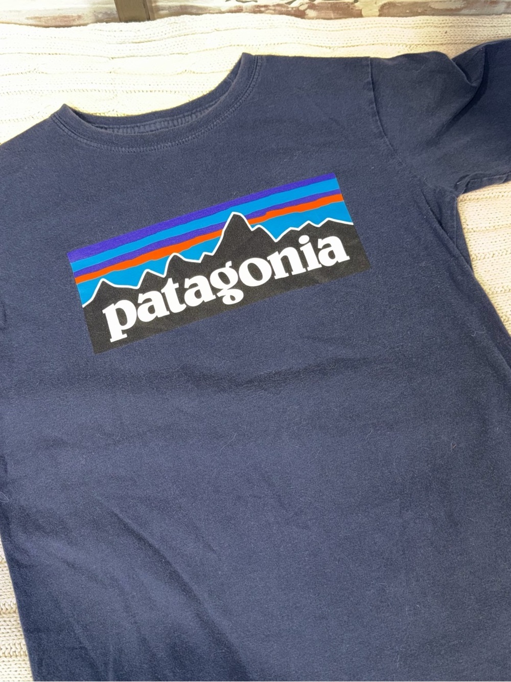 Patagonia Navy Mountain Stripe Logo Tee